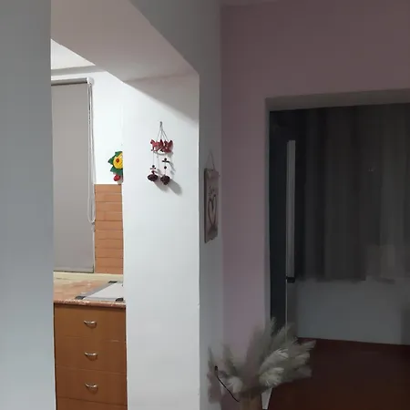Daily Rent Tirana